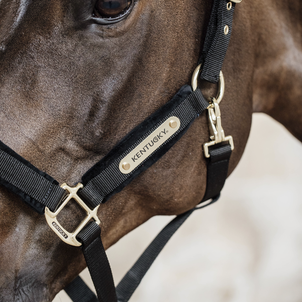 Kentucky halter velvet