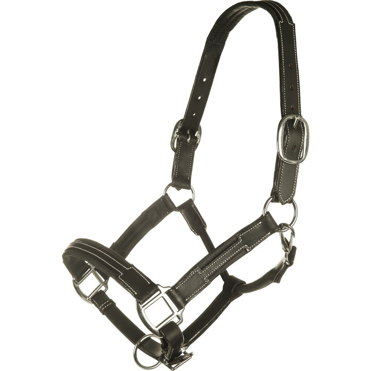 Leather Head collar for horses