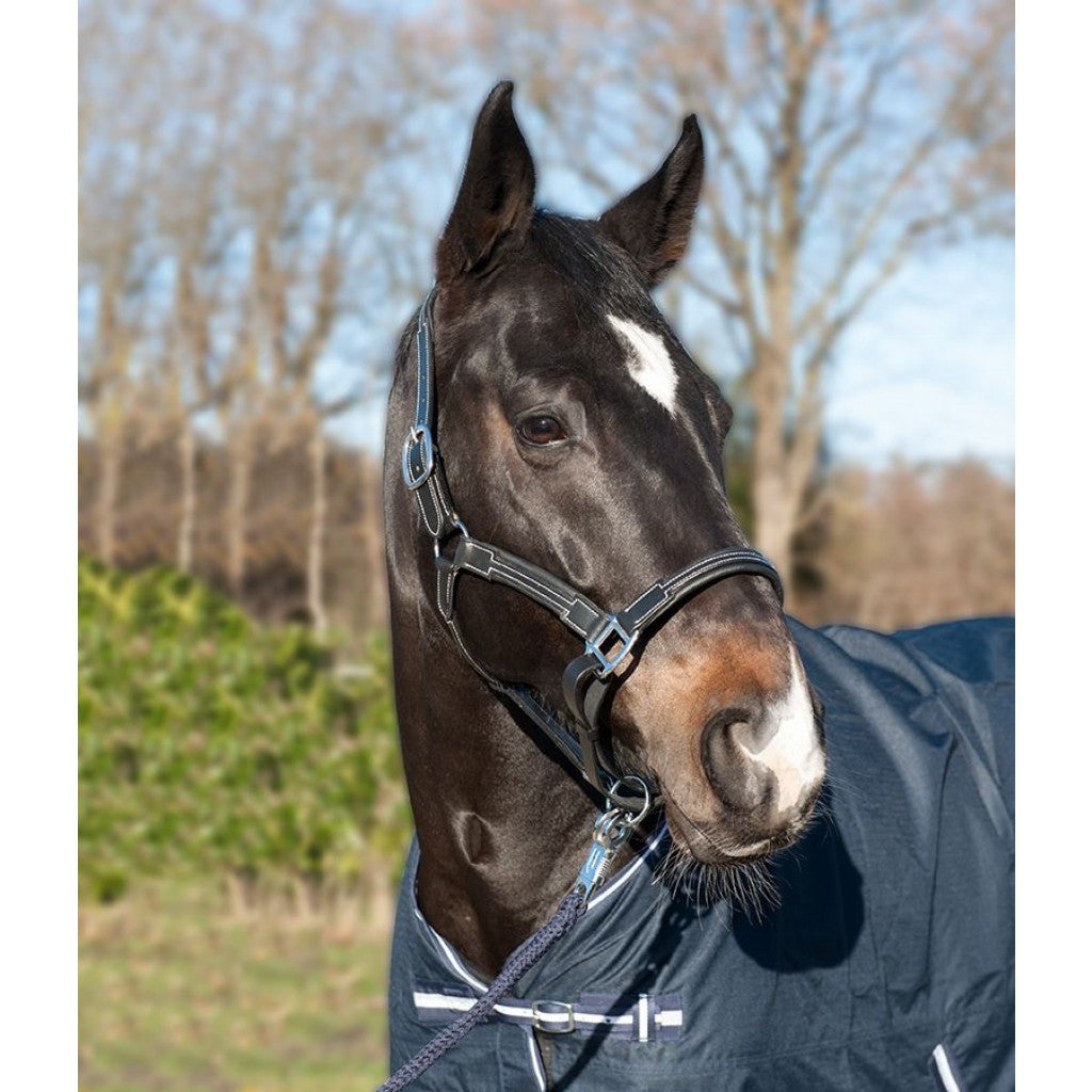 Leather head collar black