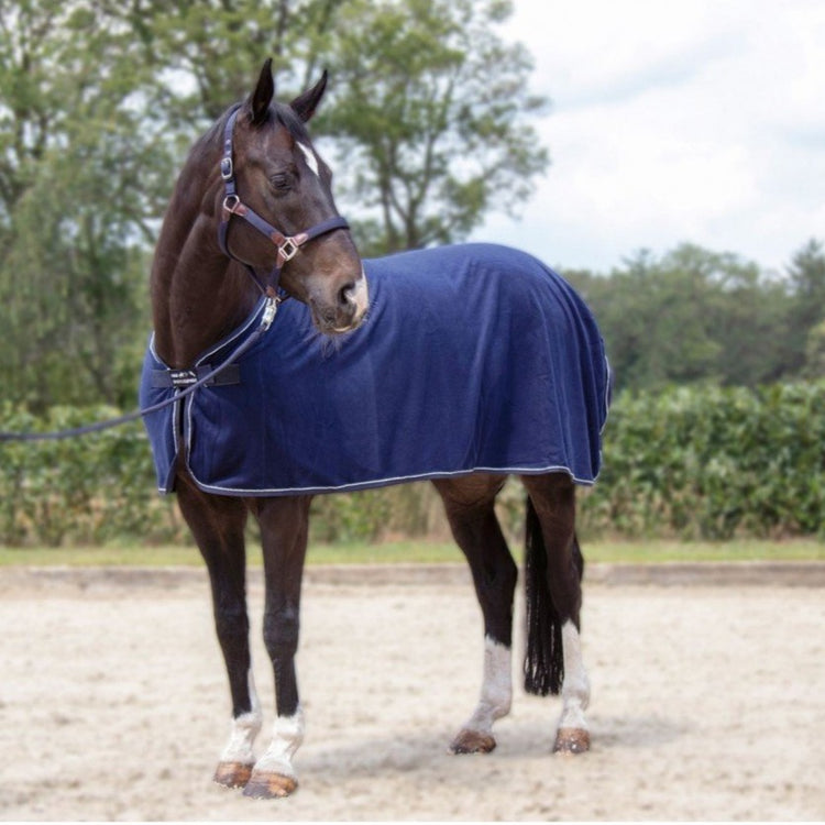 HKM Cooler