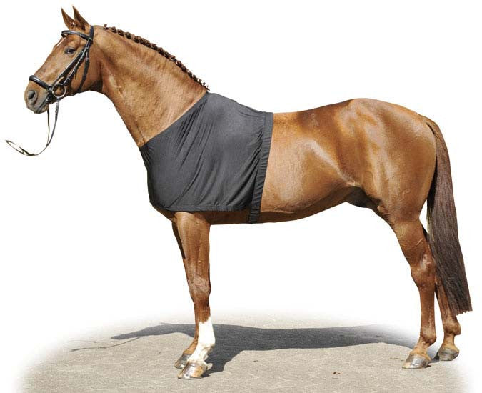 horse chest protector