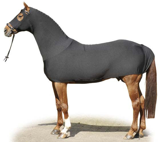 Horse body suit for keeping clean