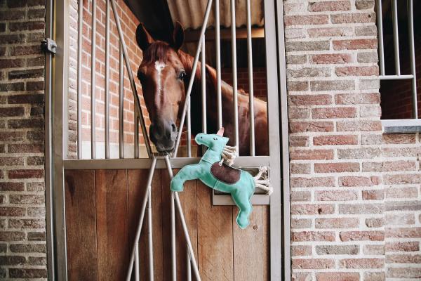 Horse Stable Toy