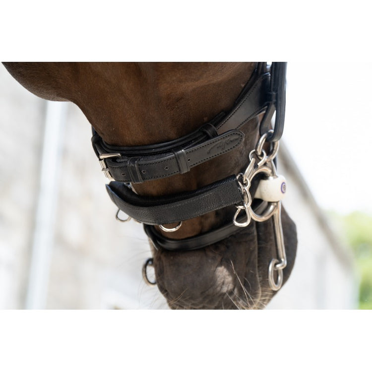 Leather chain guard