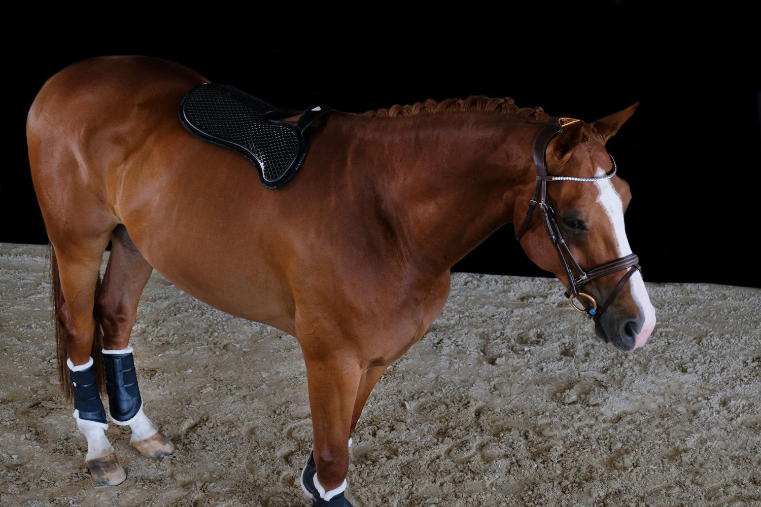 Withers Free Hexa Gel Half Pad & Front Riser with Micropile Black