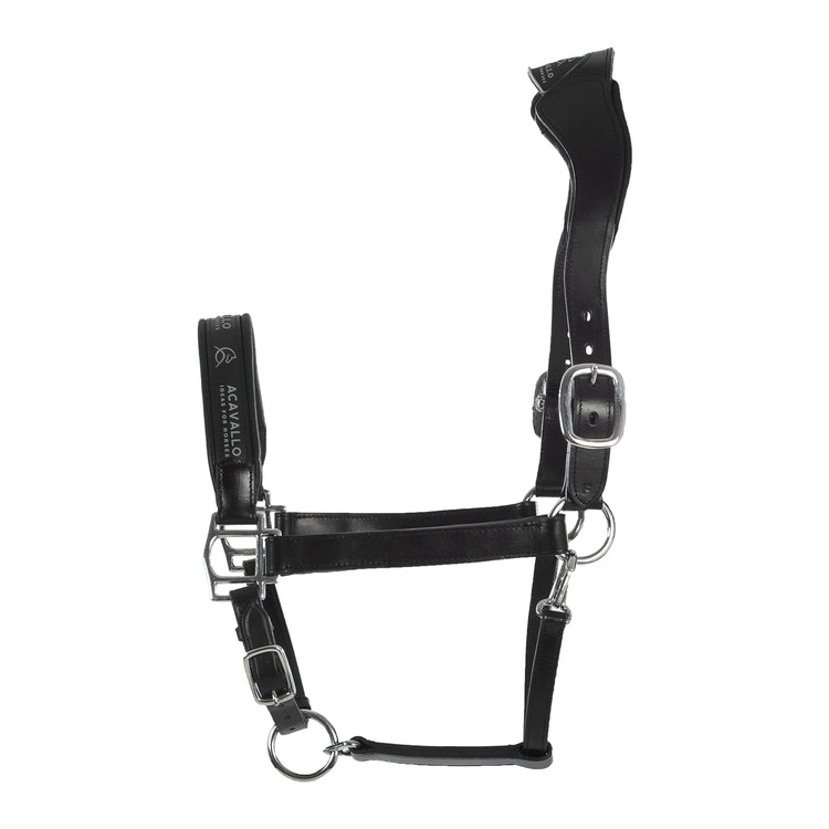 Acavallo leather head collar