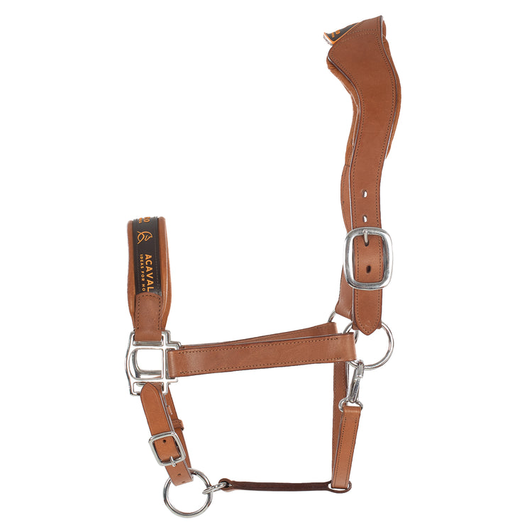 Leather head collar with soft padding