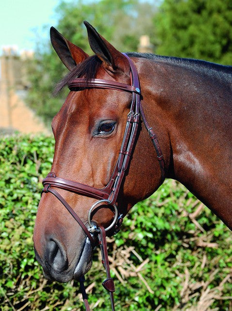 Dyon Bridle