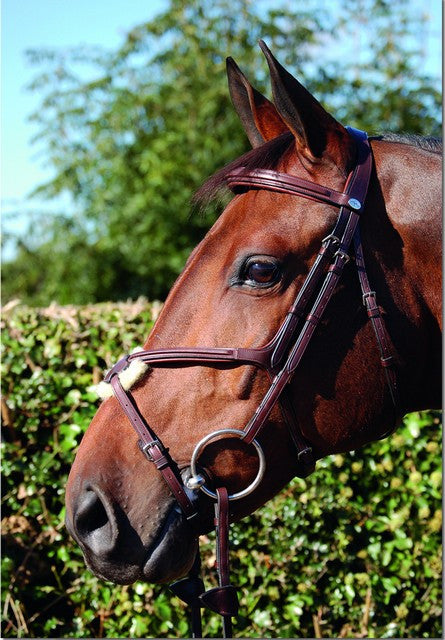 Figure 8 Bridle