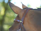 Anatomic dressage bridle in brown