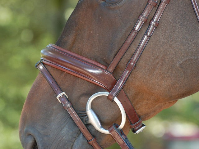 Brown wide noseband bridle