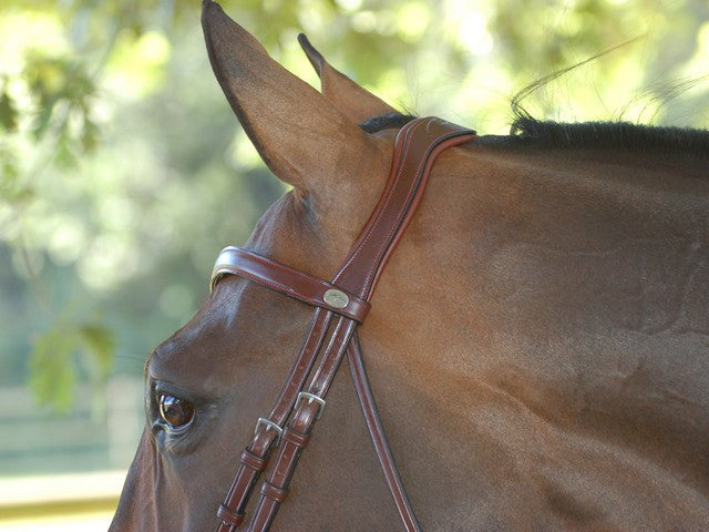 Crank Noseband Bridle