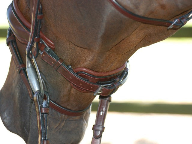 Swedish Noseband Dressage bridle