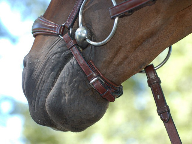 Drop noseband bridle for dressage