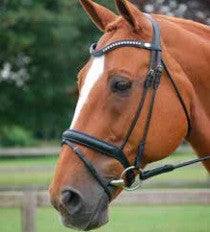 Rolled Dressage Bridle