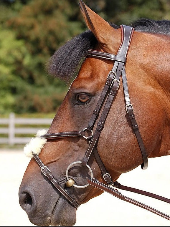 Figure 6 Noseband Hoofdstellen