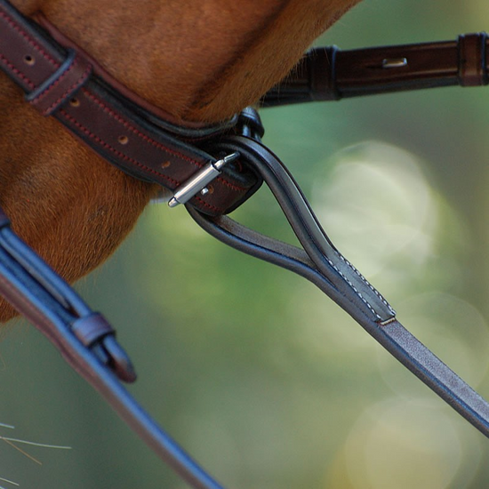 Standing Martingale Attachement