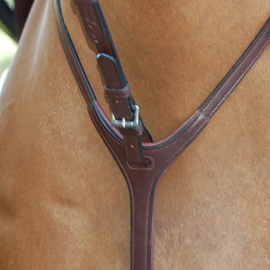 Standing Martingale Attachement