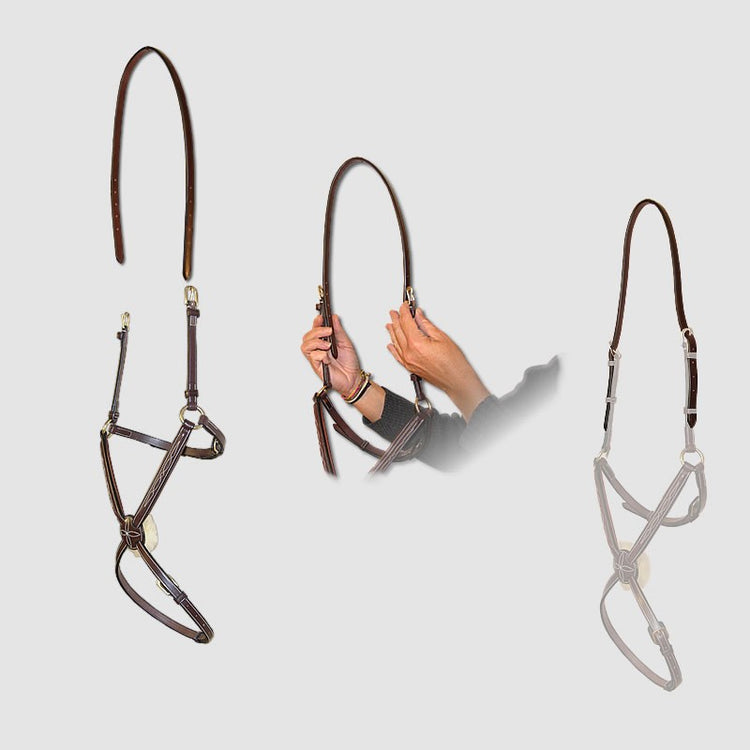 Strap to Adapt double sided noseband