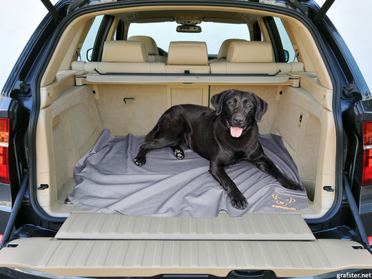 dog blanket anti-insects