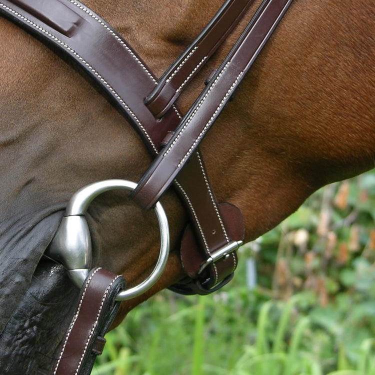 Dyon Hunter Noseband Bridle