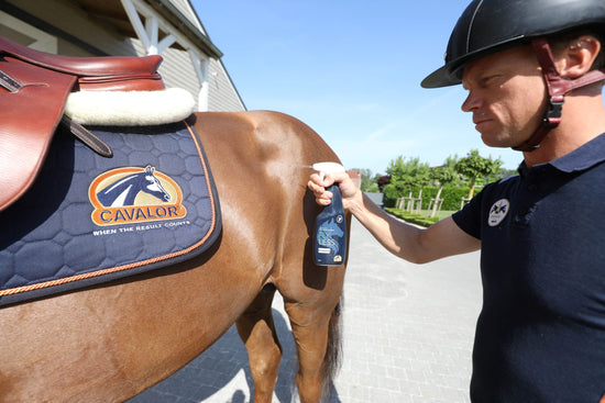 FlyLess Fly repellent for horses by Cavalor