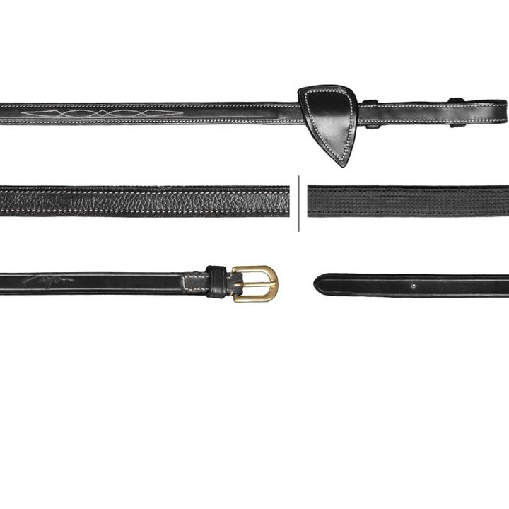 Dyon reins