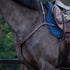 3 Point anatomic breastplate