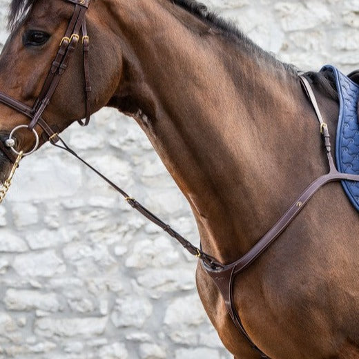 Standing martingale attachment
