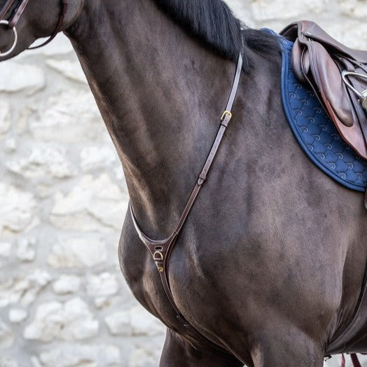 Yoke Martingale