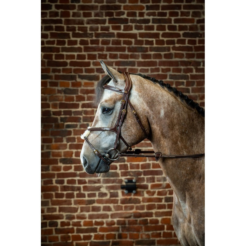 Dyon figure 8 noseband bridle