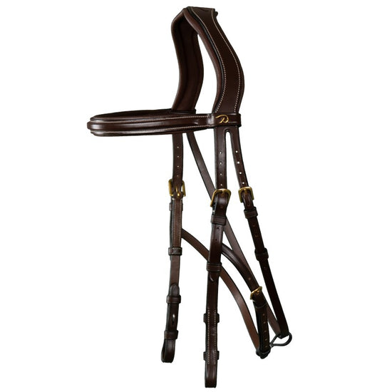 Anatomic hackamore bridle