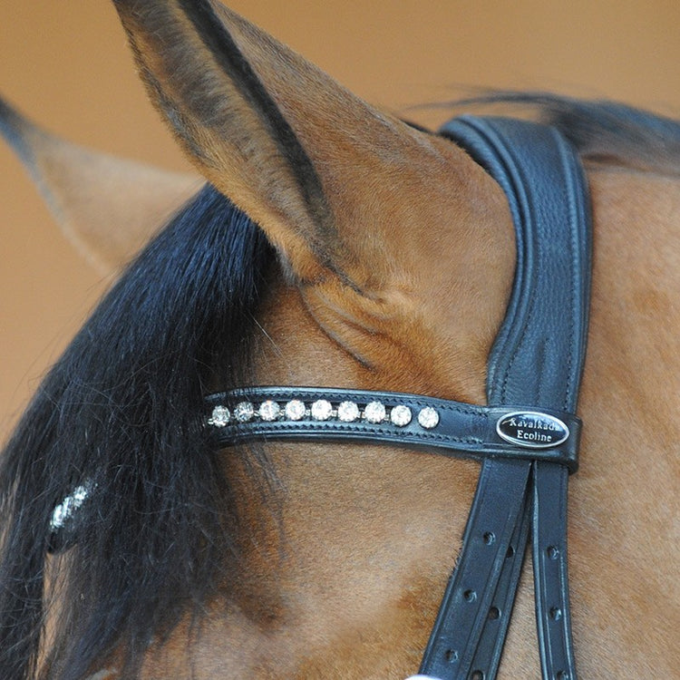 Anatomic Flash Noseband Bridle