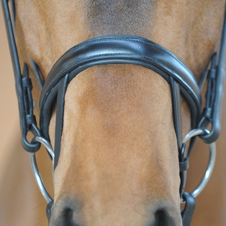 Anatomic Noseband