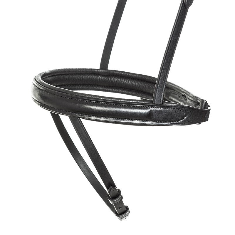 Open Flash Noseband