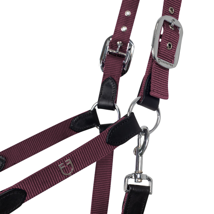 Equestro Leather Head Collar