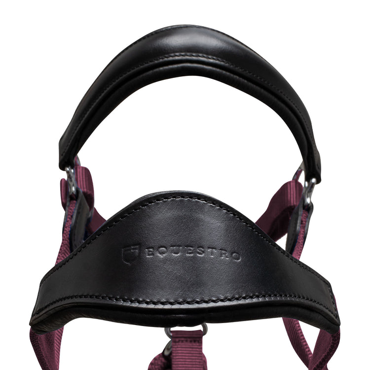 Anatomic Leather Head Collar