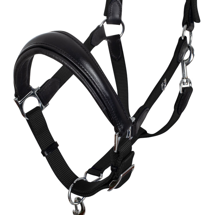 Equestro Leather Halter