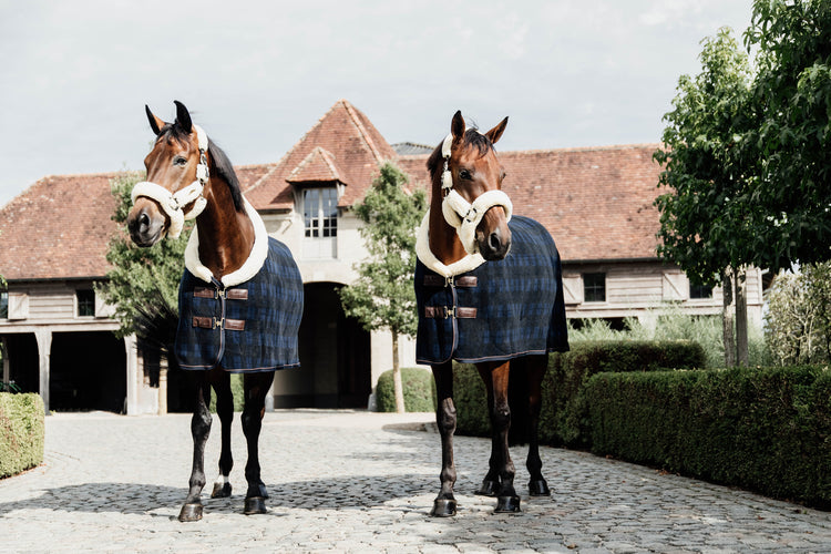 Luxury Cooler Rug