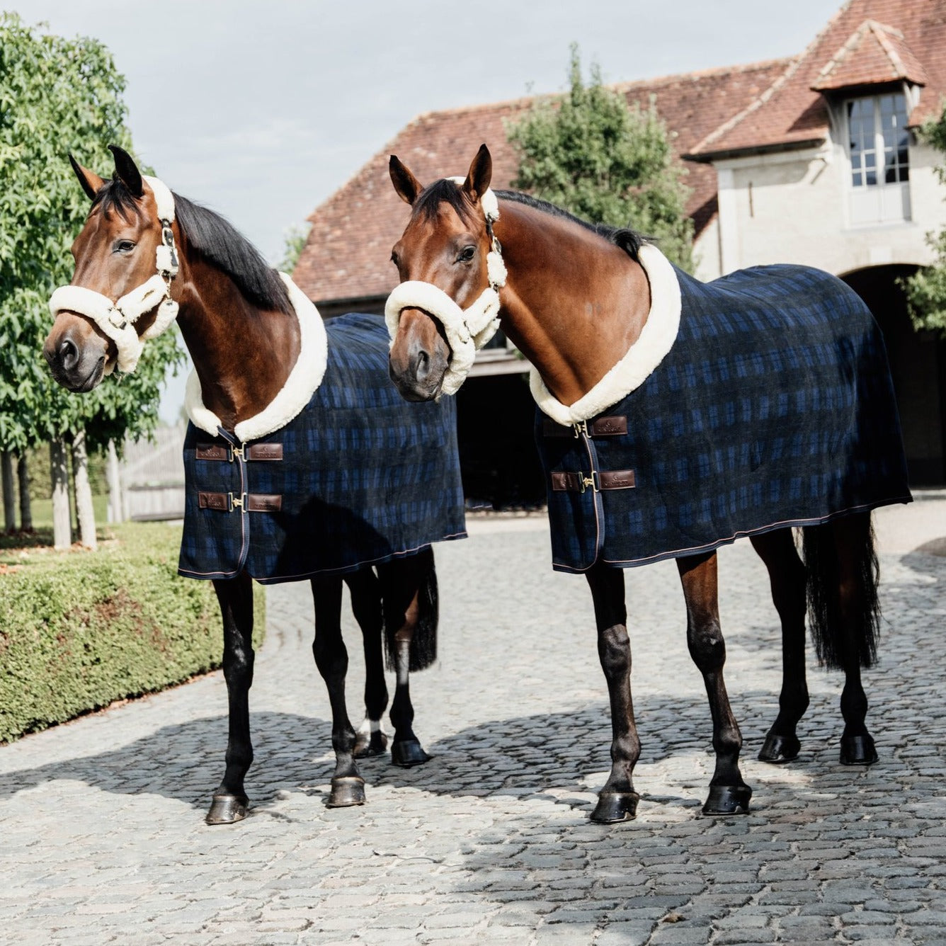 Kentucky Check Rug