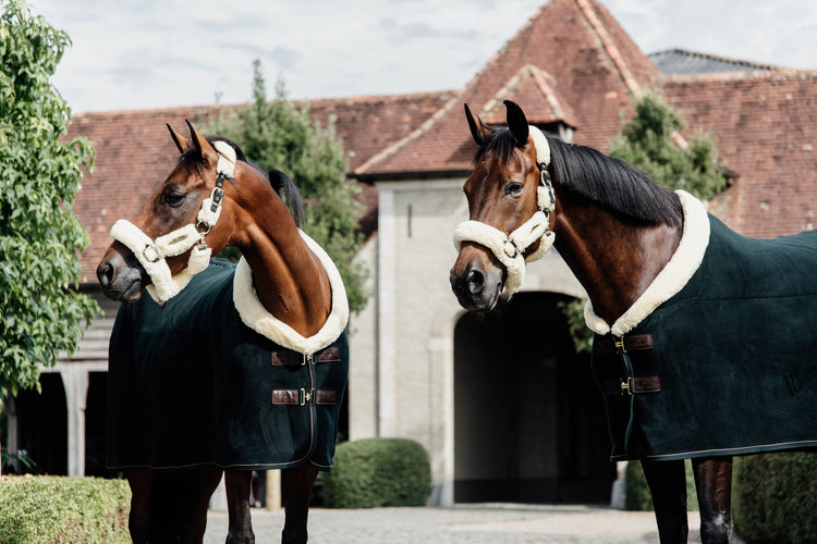 Dark Green Cooler Rug for horses