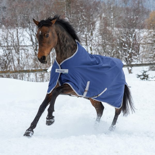 Bucas Winterdecke
