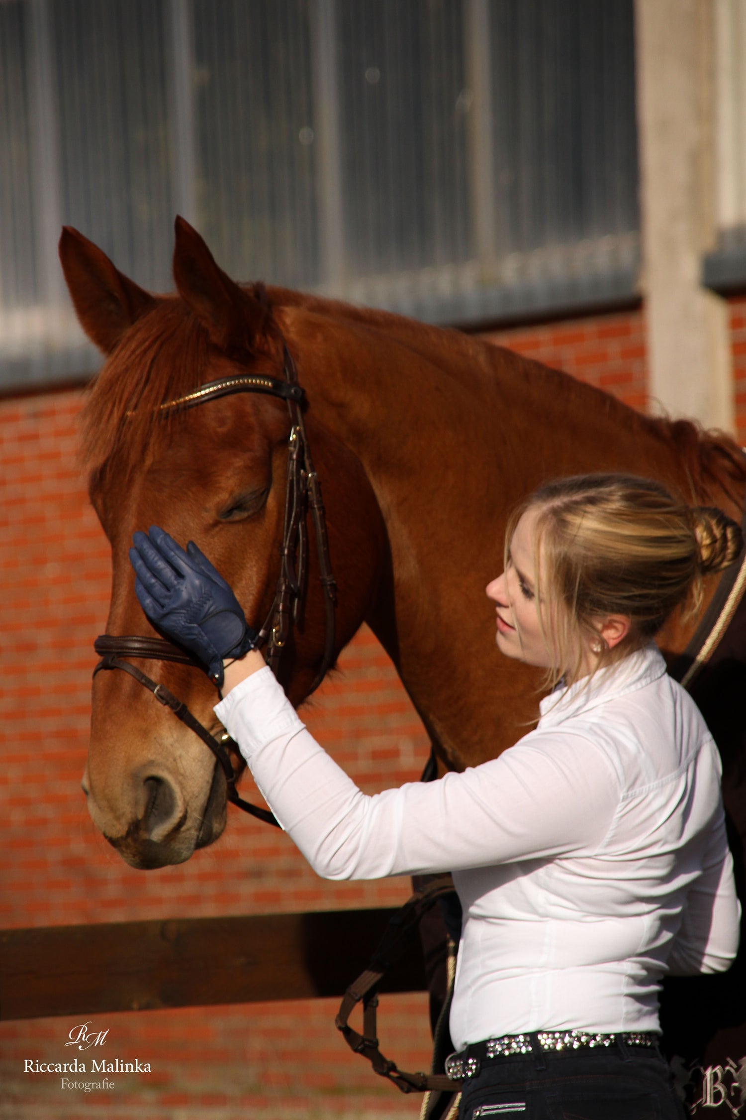 Leather Horse Riding Gloves