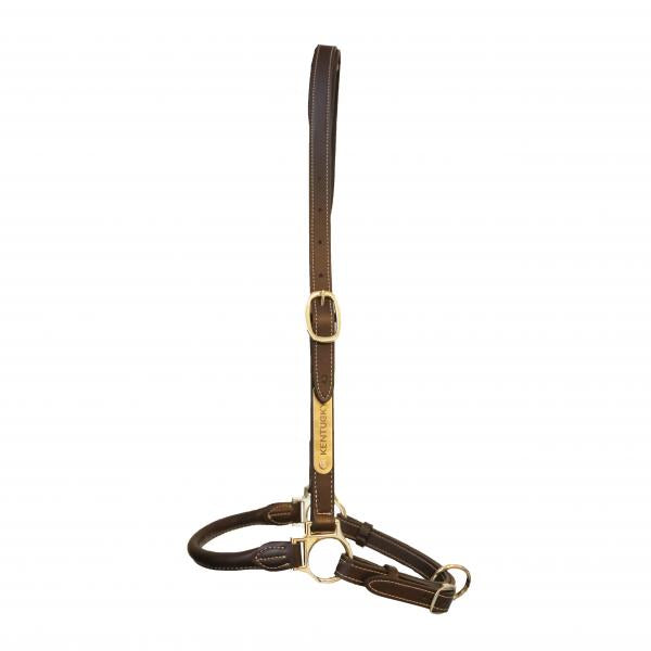 Kentucky Horsewear Grooming Halter