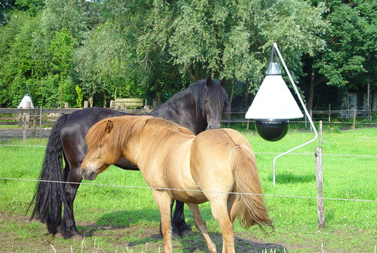Paddock Fly Trap for horses