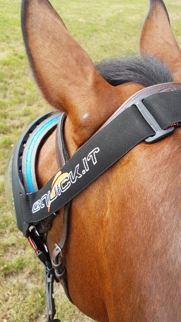 Goggles for horses