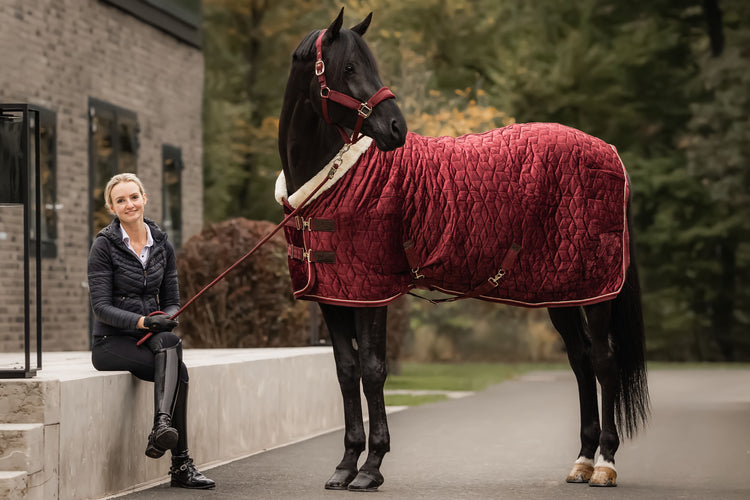 Bordeaux Velvet Rug from Kentucky Horsewear