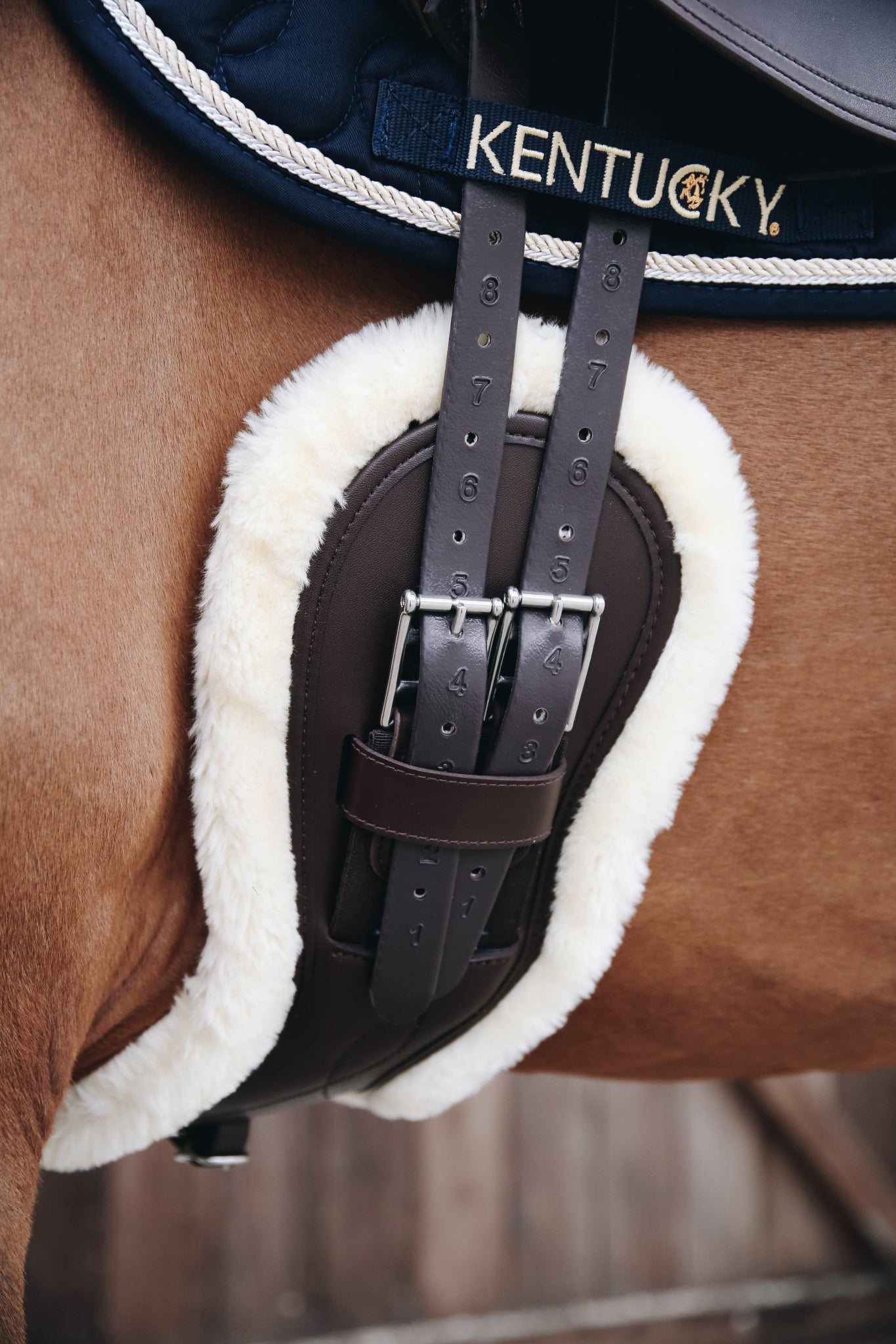 Anatomic shaped dressage girth with sheepskin