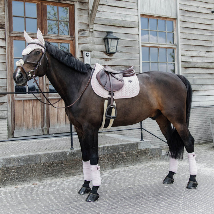 A horse wearing Kentucky Velvet Pearls saddle pad, bandages, and fly veil in Soft Rose color.