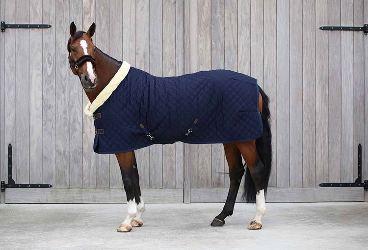 Navy Horse Show Rug